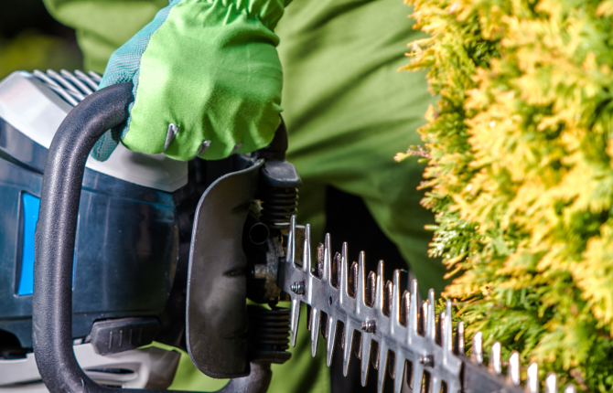 Vormingsaanbod 2026 maatwerkbedrijven